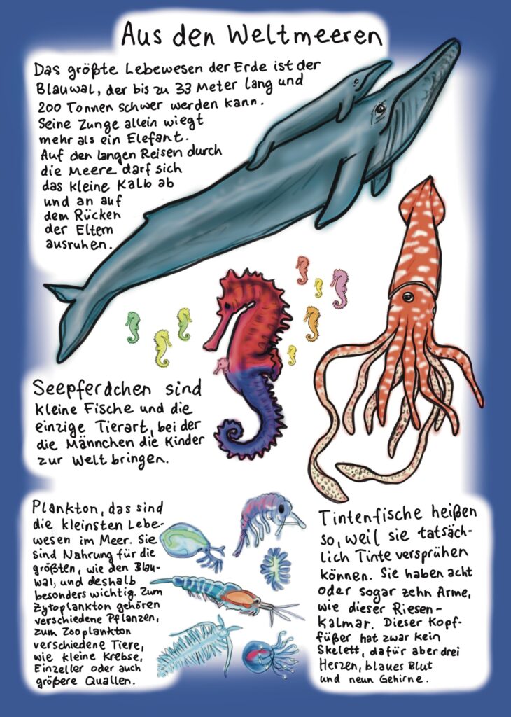 Aus den Weltmeeren, Blauwal, Seepferdchen, Plankton, Tintenfisch